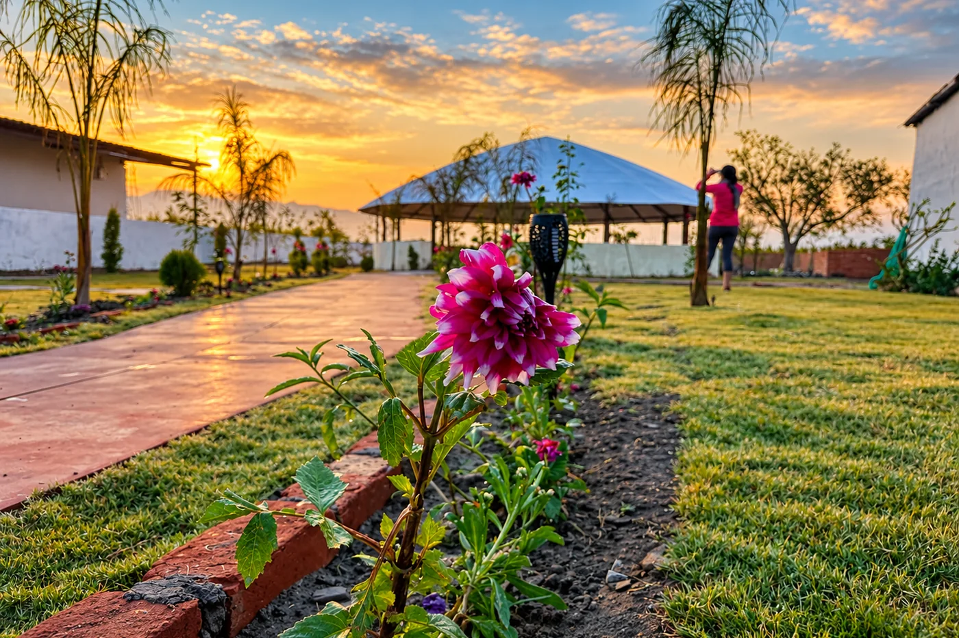 Triguna campus garden path at sunset