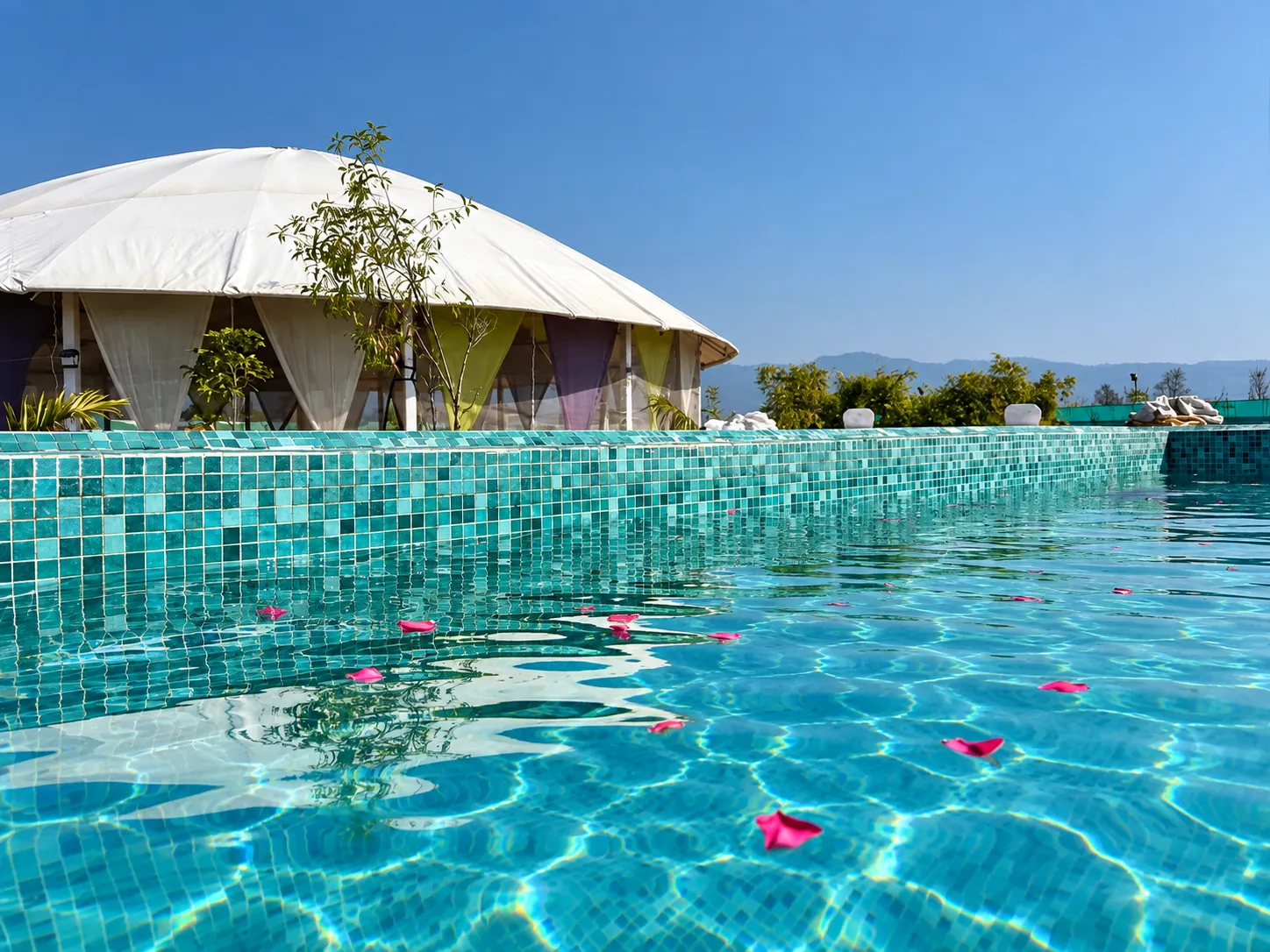 Rose petals floating in the swimming pool beside the dome hall